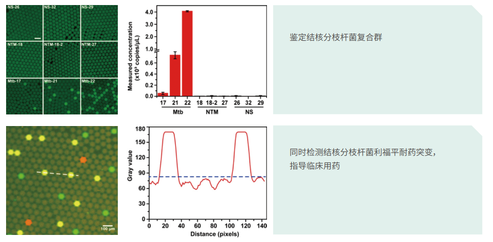 QQ截圖20230306170914.png