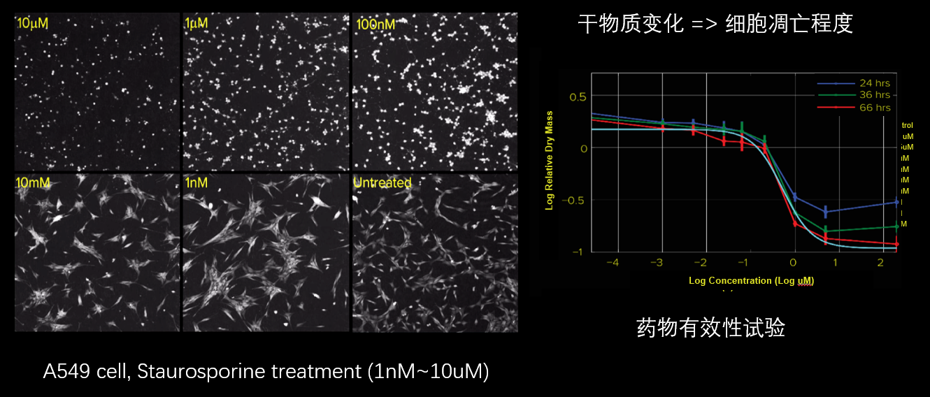 5、細(xì)胞毒性分析.png