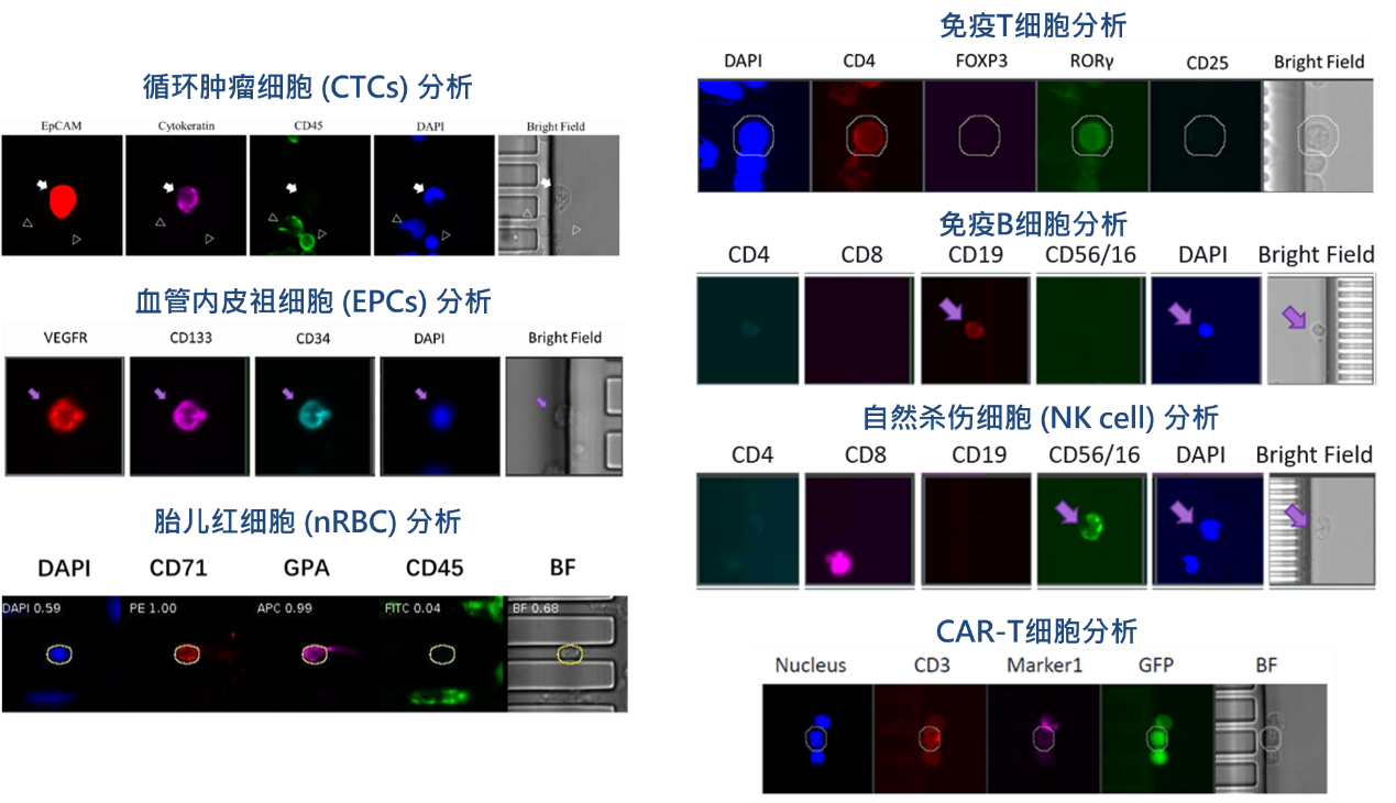 1、各類稀有細(xì)胞檢測(cè)分析.png