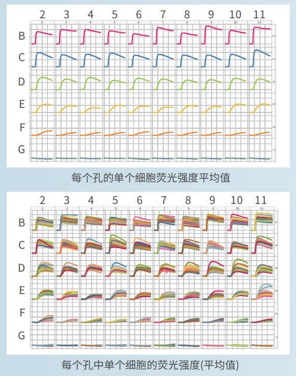 應(yīng)用2：離子霉素濃度依賴性鈣反應(yīng)-2.png