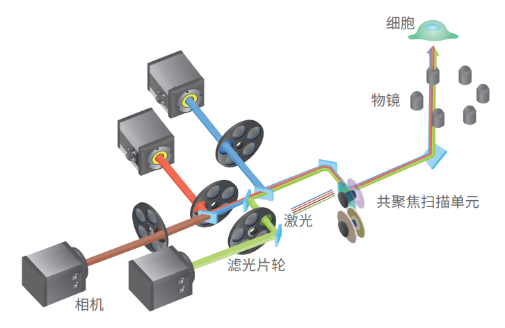 光路.png