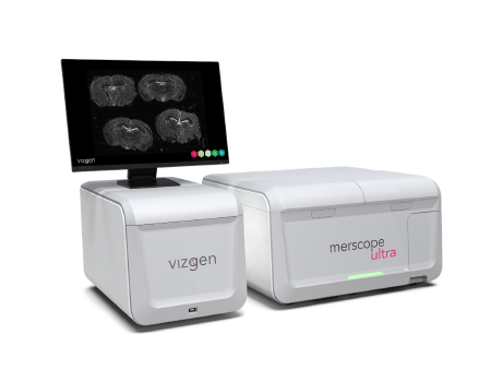 MERSCOPE Ultra High-Resolution Single-Cell In-Situ Spatial Transcriptomics Analysis Platform